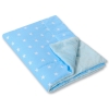 Double-sided baby blanket minky- Blue stars