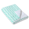 Double-sided baby blanket minky- Chevron mint