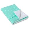Double-sided baby blanket minky- Mint stars