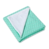 Double-sided car seat blanket- White dots on mint