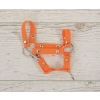 Hobby Horse halter A4 small - orange