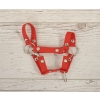 Hobby Horse halter A4 small - red