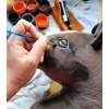 Hobby Horse - bay horse A4