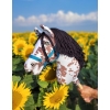 Hobby Horse - brown leopard horse with a black mane A3