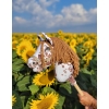 Hobby Horse - brown leopard with a brown mane A4