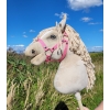 Hobby Horse - cremello horse A3