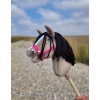 Hobby Horse - dun horse A4