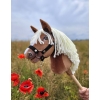 Hobby Horse - haflinger A4