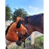 Hobby Horse - light bay horse A3
