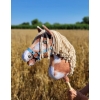 Hobby Horse - tobiano bay horse with a beige mane A3