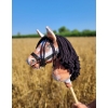 Hobby Horse - tobiano bay horse with a black maneA4