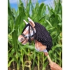 Hobby Horse - tobiano bay horse with a black maneA4
