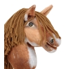Hobby Horse - tobiano bay horse with a brown maneA4