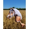 Hobby Horse - tobiano bay horse with a white mane A3
