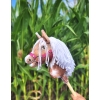 Hobby Horse - tobiano bay horse with a white maneA4