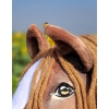 Hobby Horse - western II bay horse A3