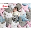 Little STAR 6