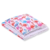 Set: Double-sided blanket minky + pillow- flamingo