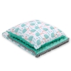 Set: Double-sided blanket minky + pillow- hedgehogs mint