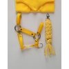 Set for Hobby Horse: the halter A3 + Tether made of cord - yellow