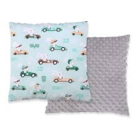 Doublesided Pillow (minky)