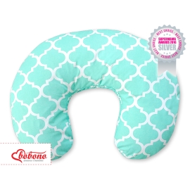 Feeding pillow for Baby- Marocco mint