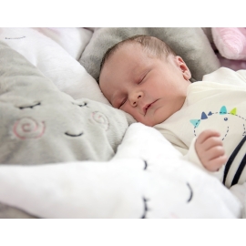 Little STAR 7