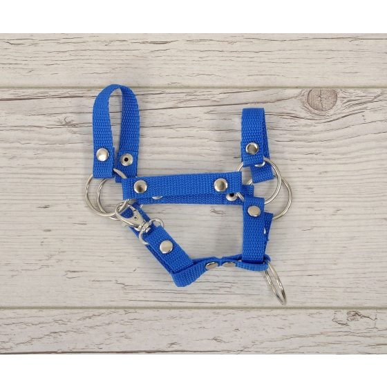 Hobby Horse halter A4 - blue