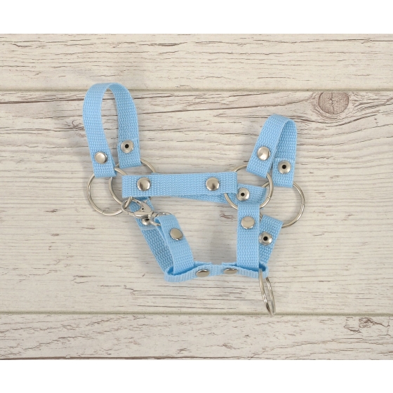 Hobby Horse halter A4 - light blue