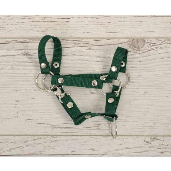 Hobby Horse halter A4 small - bottle green