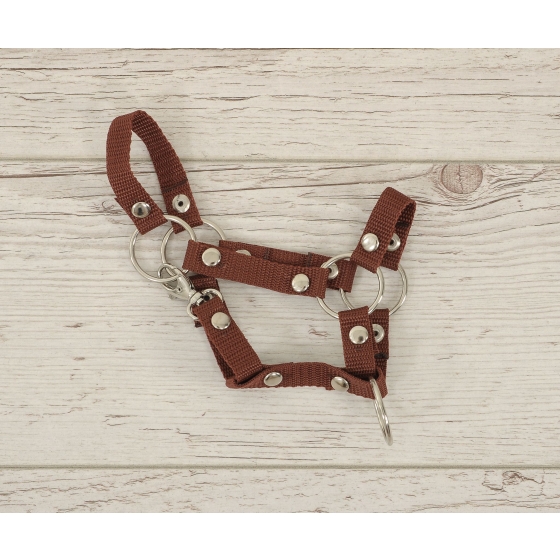Hobby Horse halter A4 small - braun