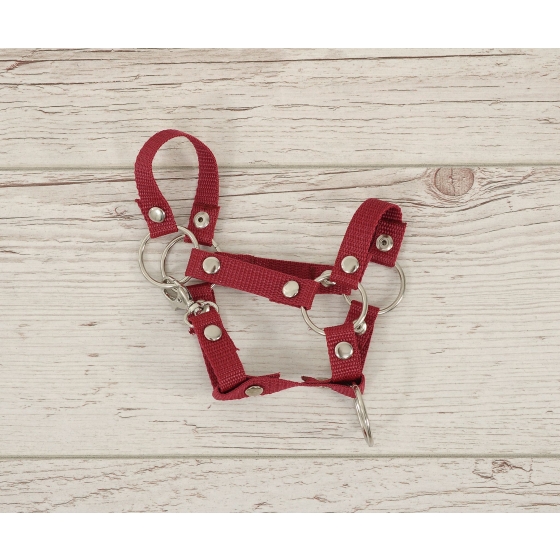Hobby Horse halter A4 small - burgundy