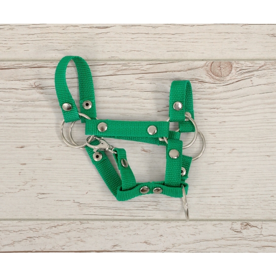 Hobby Horse halter A4 small - green