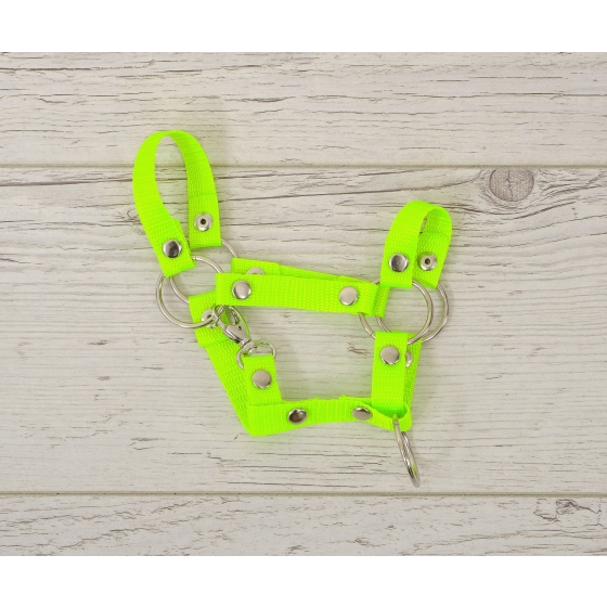 Hobby Horse halter A4 small - neon green