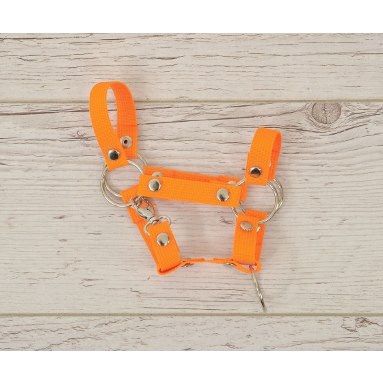 Hobby Horse halter A4 small - neon orange