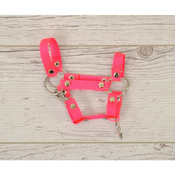 Hobby Horse halter A4 small - neon pink