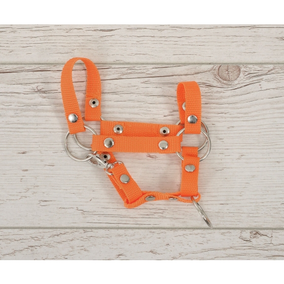 Hobby Horse halter A4 small - orange