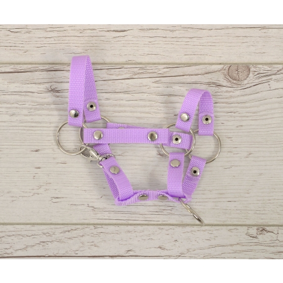 Hobby Horse halter A4 small - purple
