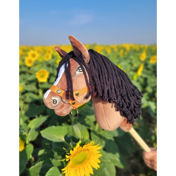 Hobby Horse - bay horse A4