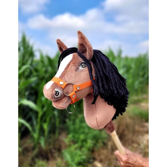 Hobby Horse - bay horse A4
