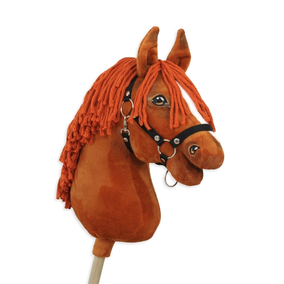 Hobby Horse to Ireland Delivered