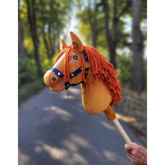 Hobby Horse - chestnut horse A4