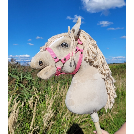 Hobby Horse - cremello horse A3