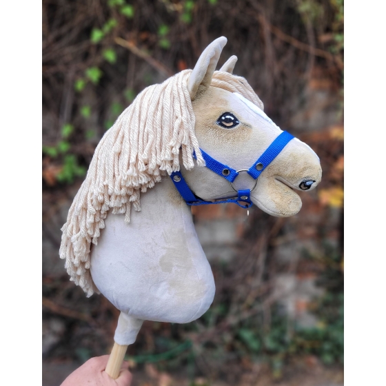 Blue Halter on Hobby Horse Cremello