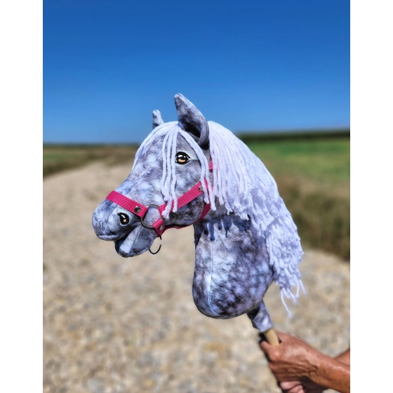 Hobby Horse - dapple grey horse with a white mane A3