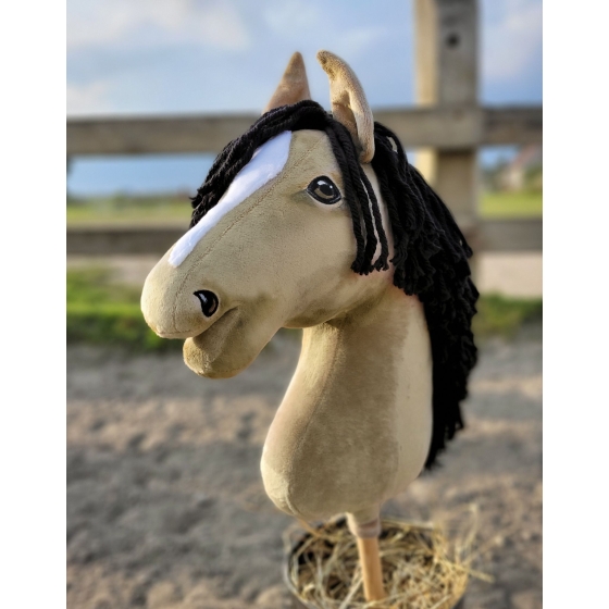 Ireland hobby horse