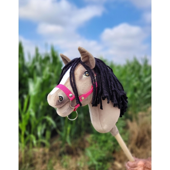 Hobby Horse - dun horse A4