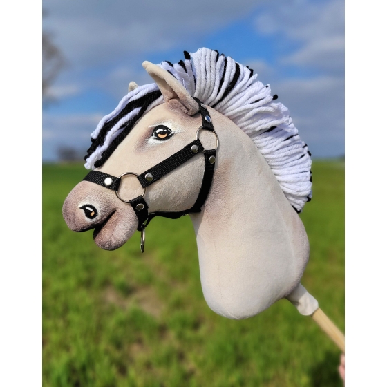 Hobby Horse - fjord horse A3
