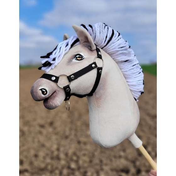 Hobby Horse - fjord horse A3