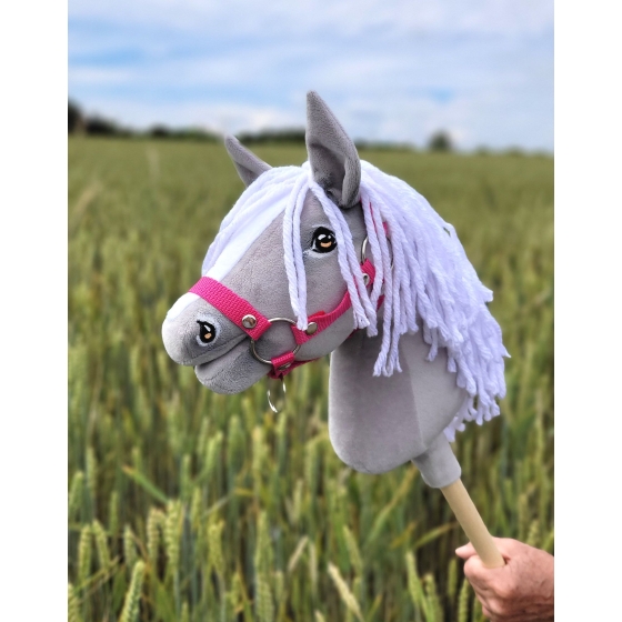 Hobby Horse - gray horse III A4
